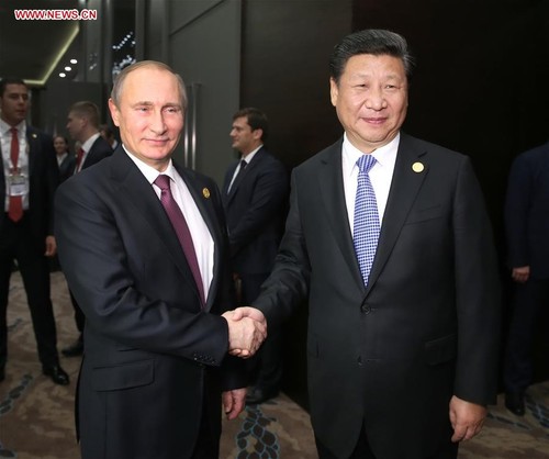 Chinese, Russian Presidents renew cooperation pledges  - ảnh 1